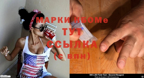 индика Сафоново