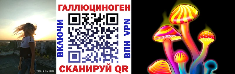 блэк спрут как зайти  Гдов  Галлюциногенные грибы Cubensis 
